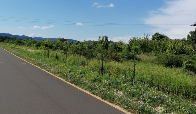 Photo 1 de l’itinéraire Bikemap « Görög utca 1, Szentendre - Páskom park 32, Budapest »