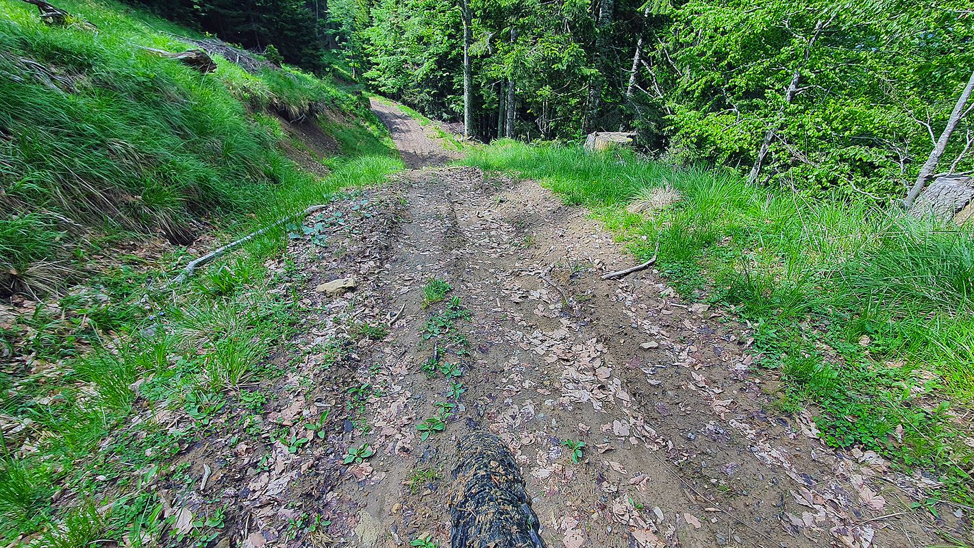 Pod Storžičem MTB