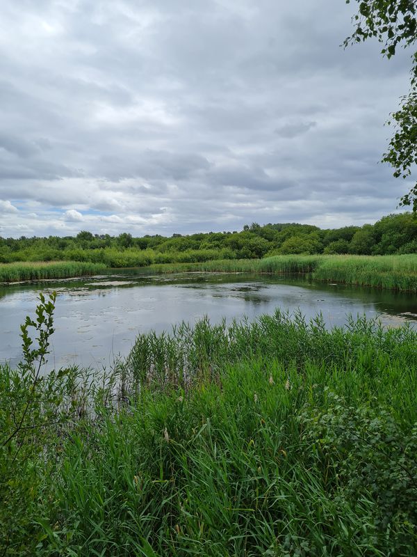 Poolstock Lane 88 to Poolstock Lane 88