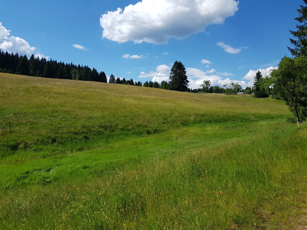 Waldstraße 1, Eisfeld nach Waldstraße 1, Eisfeld