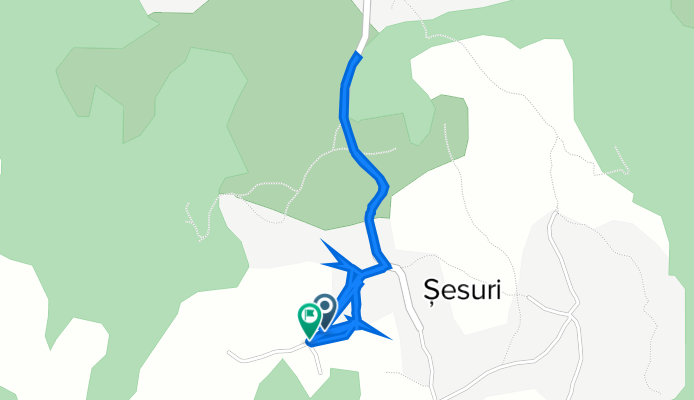 DC18, Șesuri to DC18, Șesuri