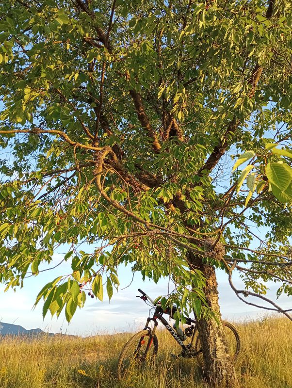 Relaxed route in