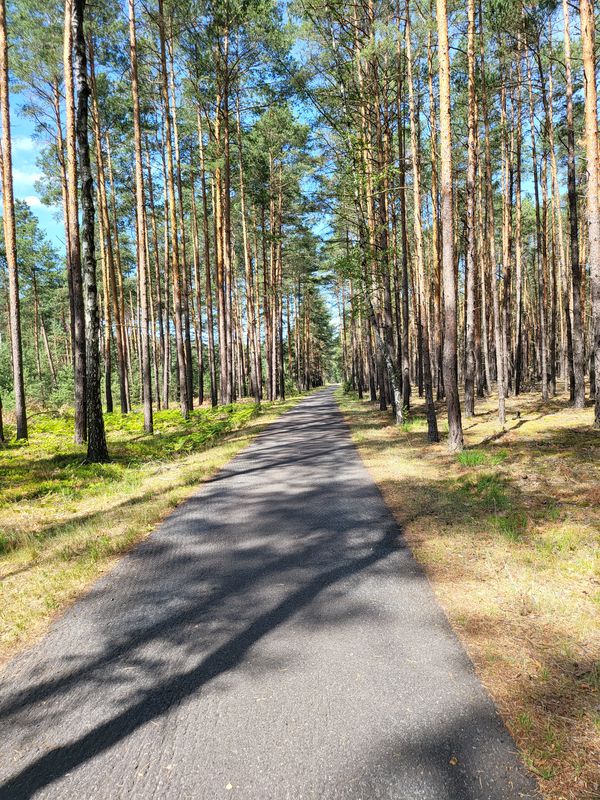 Forst, Rosengarten, Forst (Lausitz) nach Hainstraße 6, Cottbus