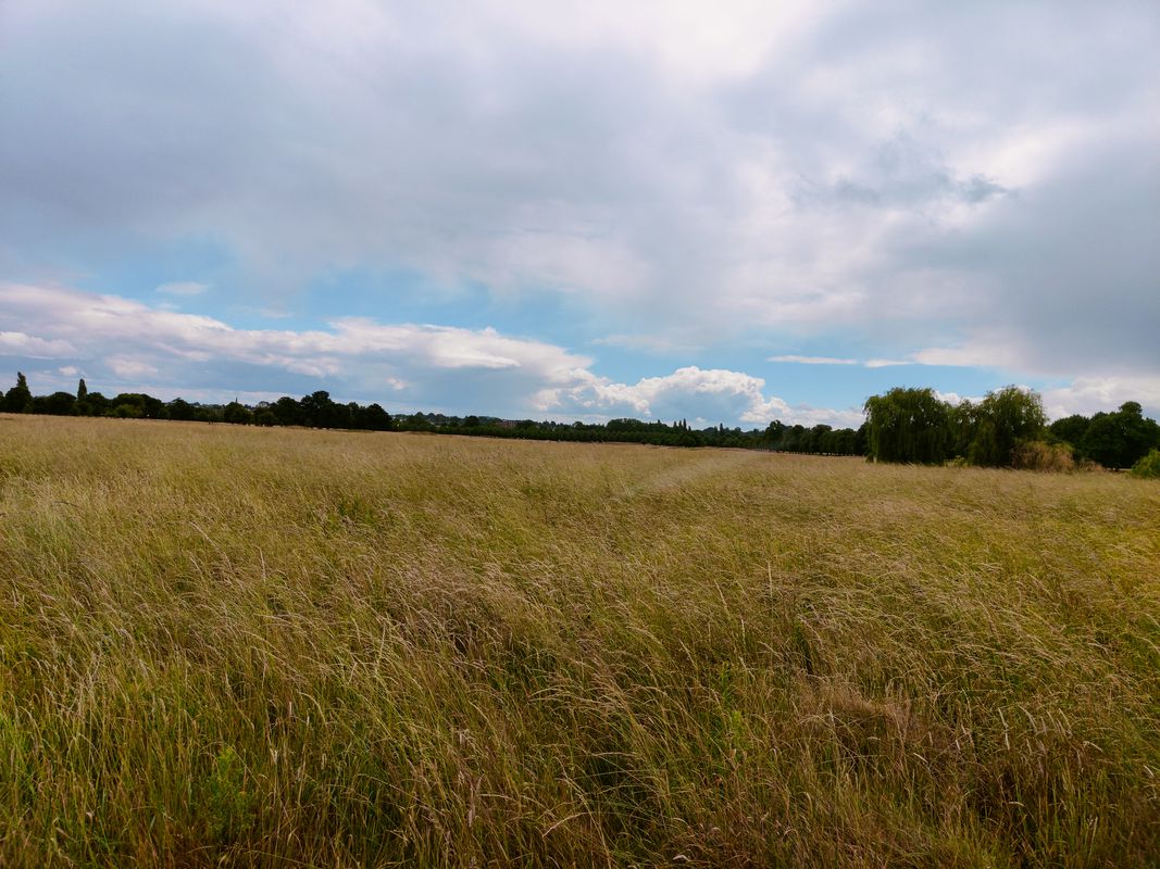 Bushy park via Hampton Court and Kingston