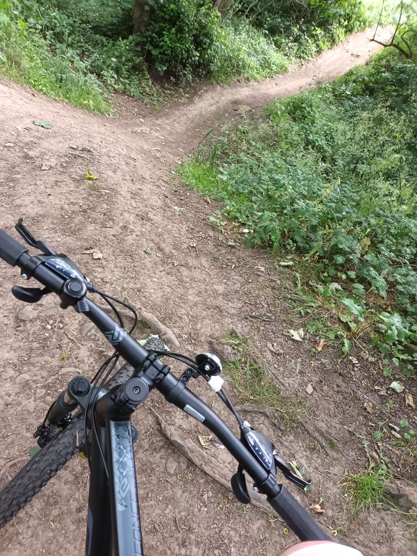 Mare Close, Seghill to Cragside 30