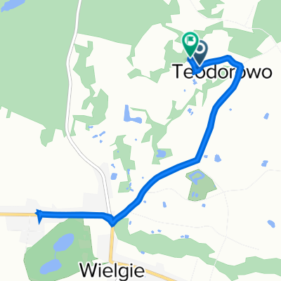 Wielgie koło Lipna, Wielgie do Wielgie koło Lipna, Wielgie