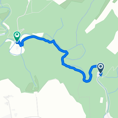 Mosel 2 von Ringelsteiner Mühle zur Burg Eltz Fußmarsch
