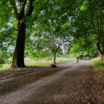 Woodlands to Nonsuch via Cuddington rec.