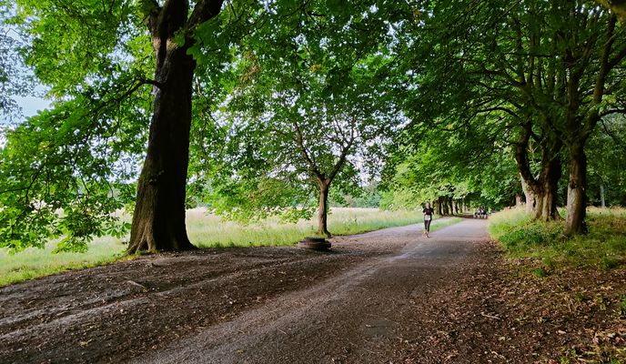 Foto 1 de la ruta de Bikemap "Woodlands to Nonsuch via Cuddington rec."