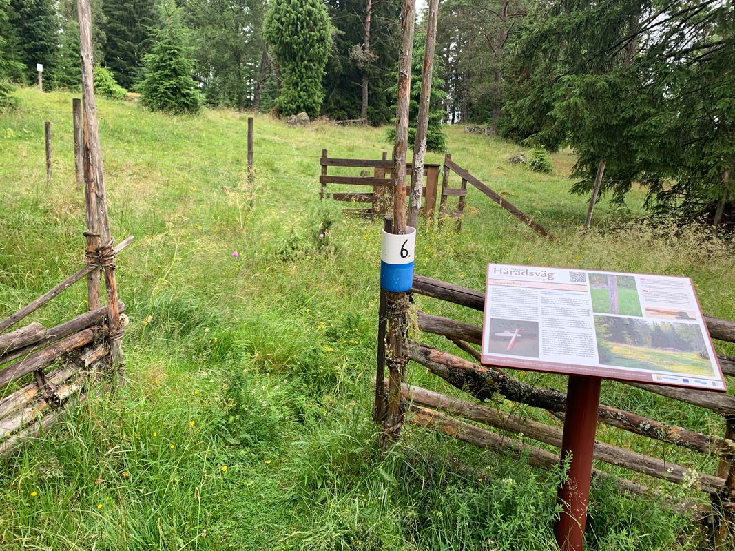 Cykeltrim i Sävsjö, 2022