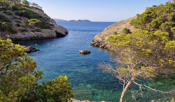 Foto 1 der Bikemap-Route "Mallorca a peu: Peguera - puig de sa Bruta - cala Fornells - caló des Monjo - Peguera"