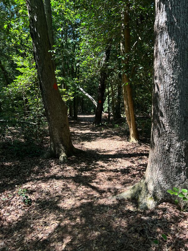 Delaware Seashore SP to Fresh Pond SP to James Farm Exo Preserve and back