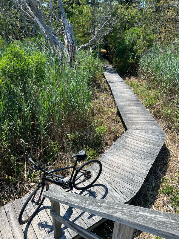 Delaware Seashore SP to Fresh Pond SP to James Farm Exo Preserve and back