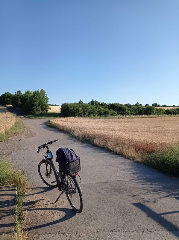 Rabensburg nach Poysdorf