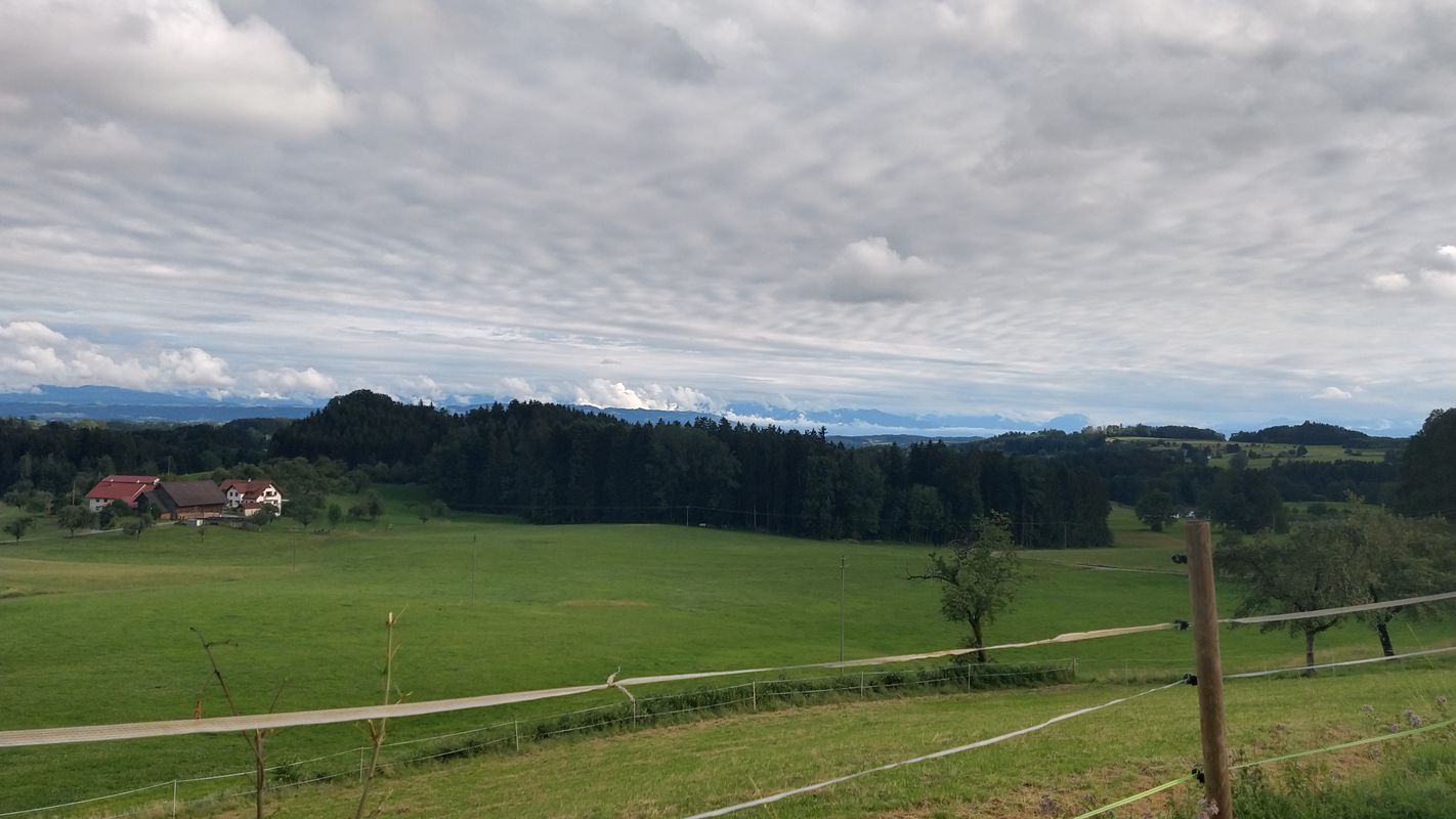 AOK Radler 30km über Kongo