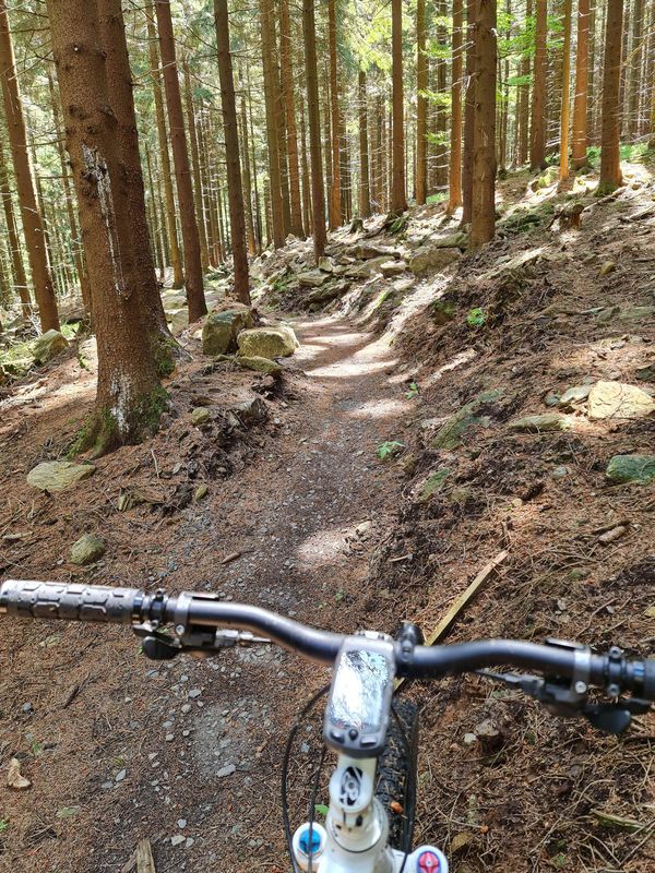 Červená Voda Cycling