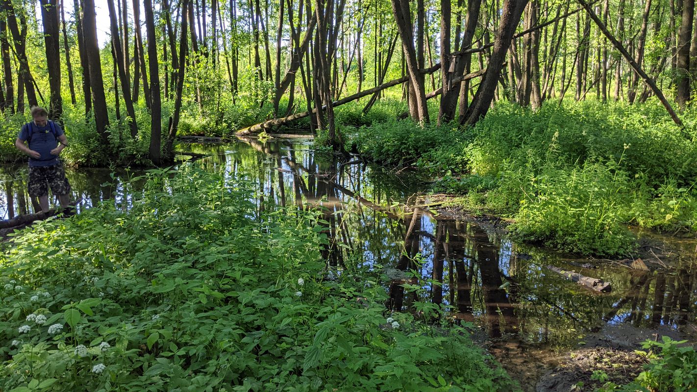 От улица Академика Анохина 5 корпус 3 строение 1, Москва до улица Академика Анохина 5, Москва