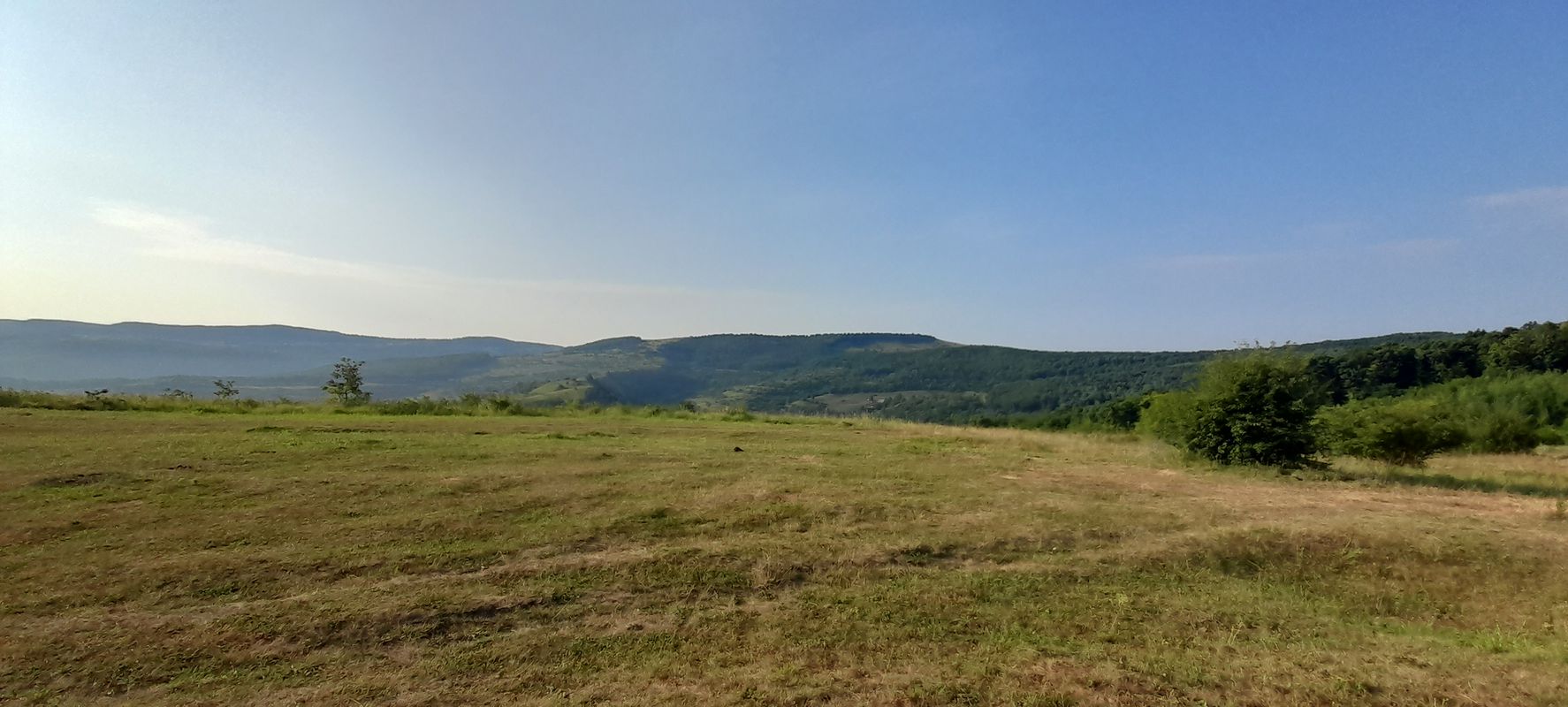 Florești