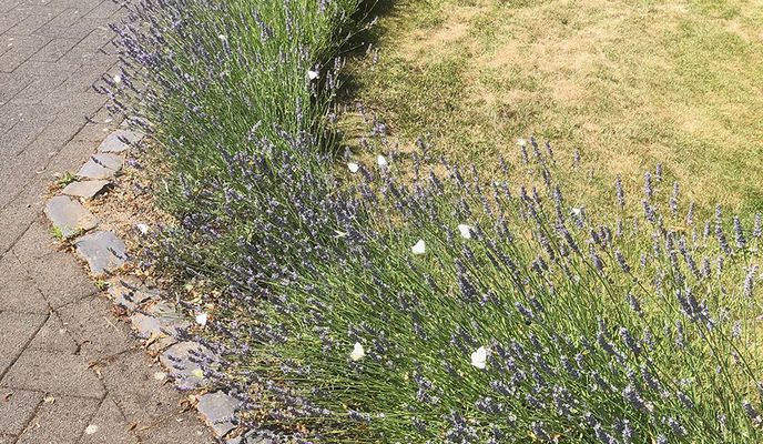 Photo 2 de l’itinéraire Bikemap « Südstadt-Bliesheim-Kippe-heim »