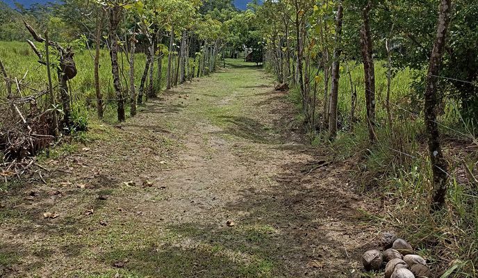 Zdjęcie 1 trasy Bikemap „De Provincia de Puntarenas a Provincia de Puntarenas”