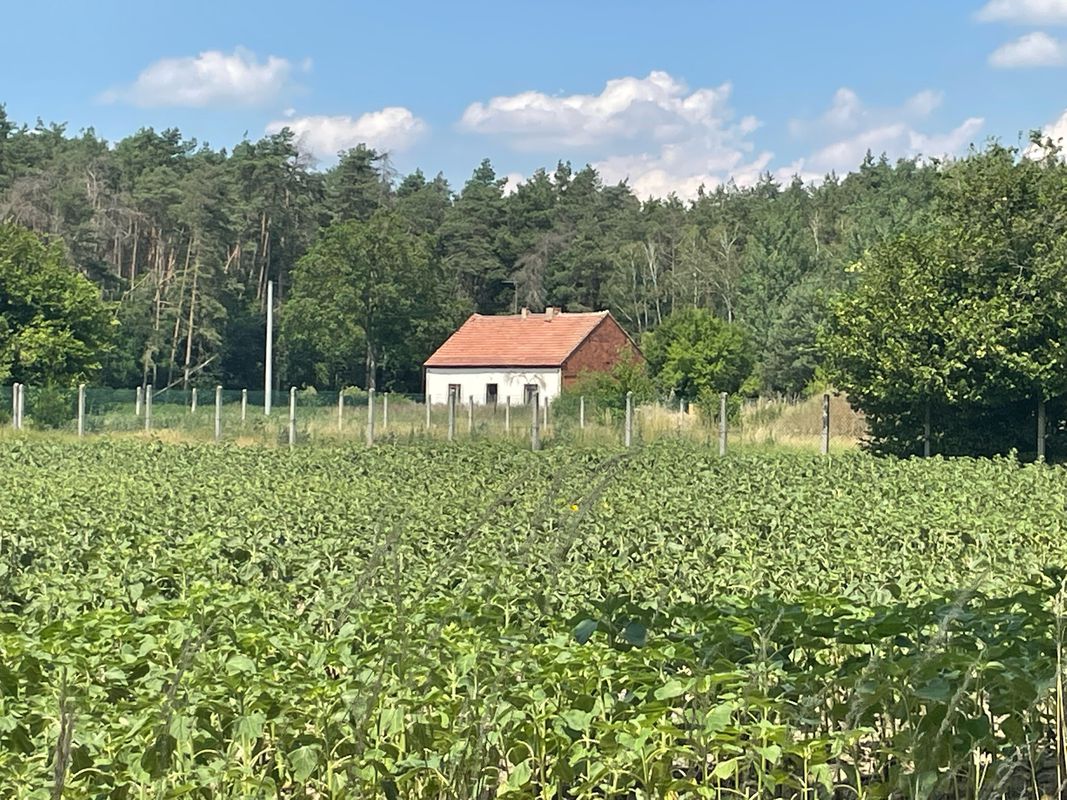 Konopnickiej 42, Wschowa do Kr贸tka, Wschowa