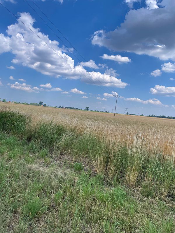 Konopnickiej 42, Wschowa do Kr贸tka, Wschowa