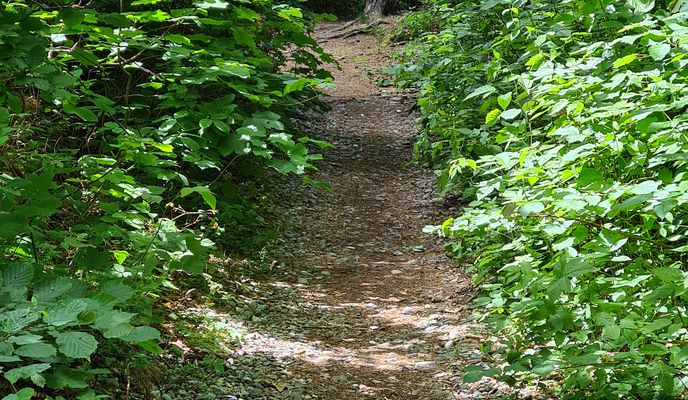 Photo 2 of the Bikemap route "Straße ohne Straßennamen, Binz nach Forsthaus Prora 1, Binz"