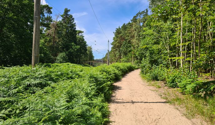 Photo 1 of the Bikemap route "Straße ohne Straßennamen, Binz nach Forsthaus Prora 1, Binz"