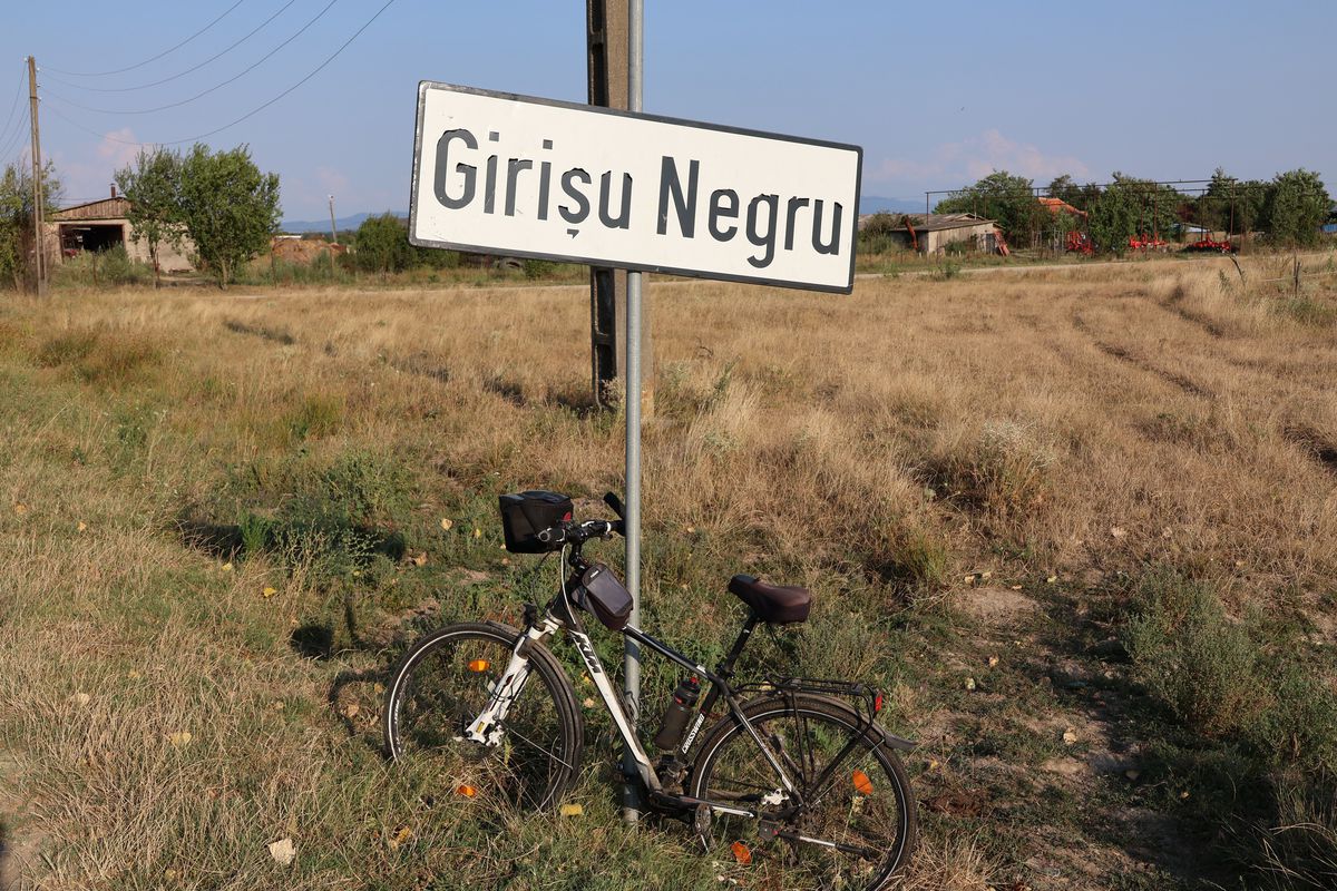 Szalonta - Girisu Negru