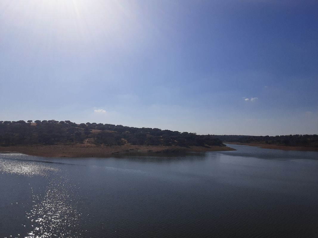 От Rua dos Mendes 85A, Reguengos de Monsaraz до Португалия