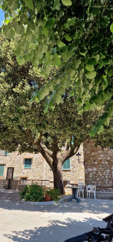 Strada senza nome, Pomarance nach Strada senza nome, Pomarance