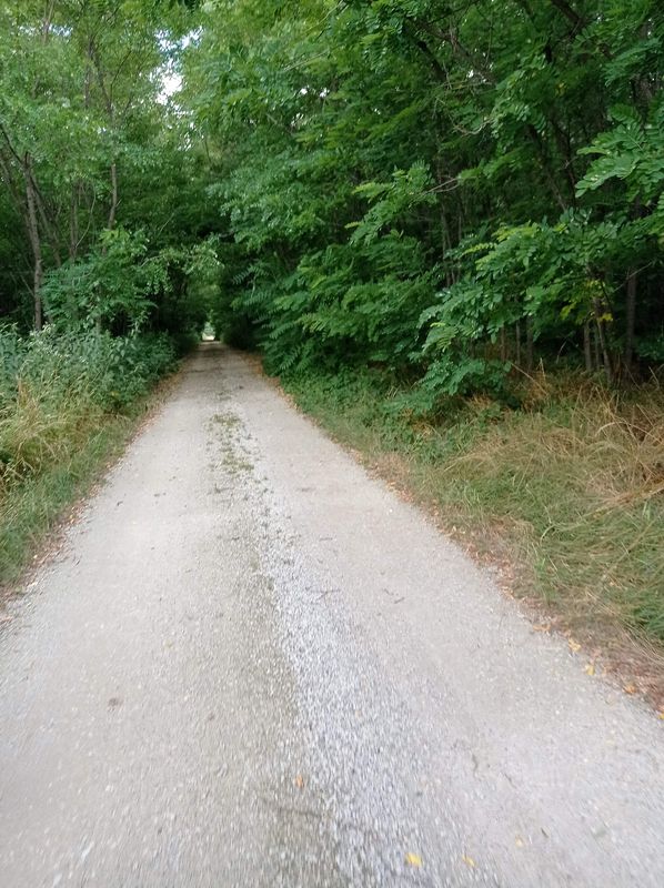 Rundtour nach Dürnkrut und retour