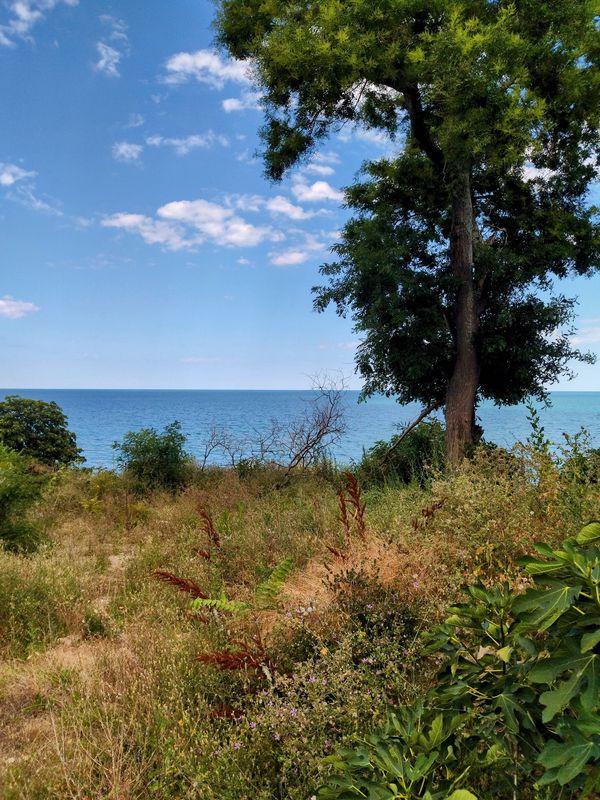 Провадия - Баня