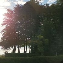 Photo 7 of the Bikemap route "Lychener Straße 8 nach Lychener Straße 8"