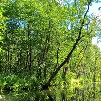 Photo 8 of the Bikemap route "Lychener Straße 8 nach Lychener Straße 8"
