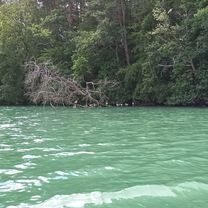 Lychener Straße 8 nach Lychener Straße 8