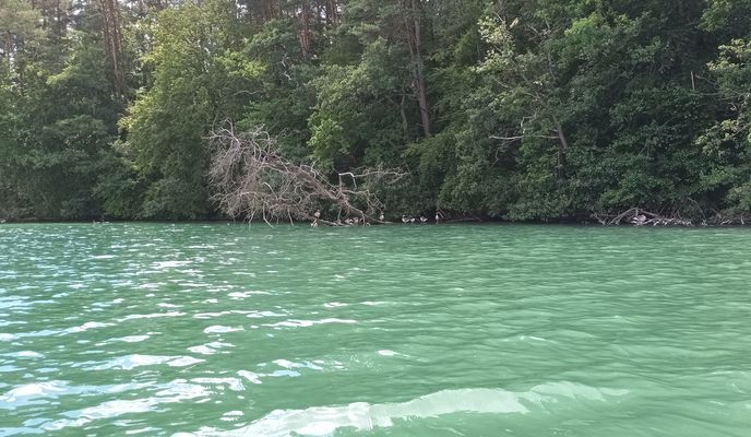 Photo 1 of the Bikemap route "Lychener Straße 8 nach Lychener Straße 8"