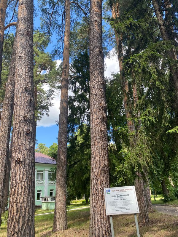 Тучково до улица 5-я Петровская, 30, Тучково