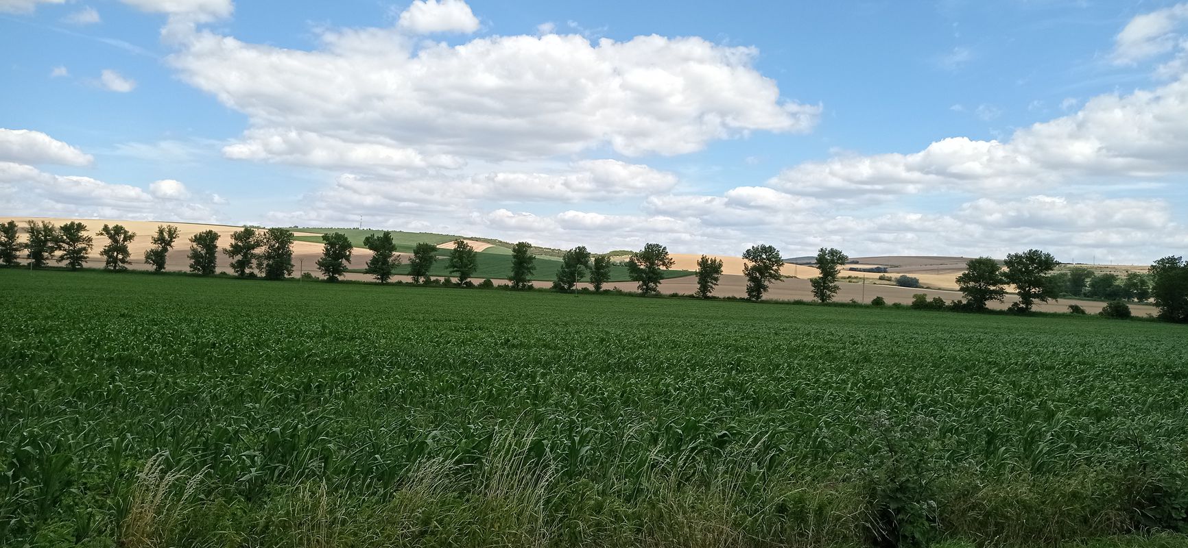 Zdrav.stř., Ždánice do Zdrav.stř., Ždánice