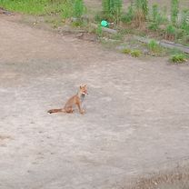 琵琶湖　南湖一周