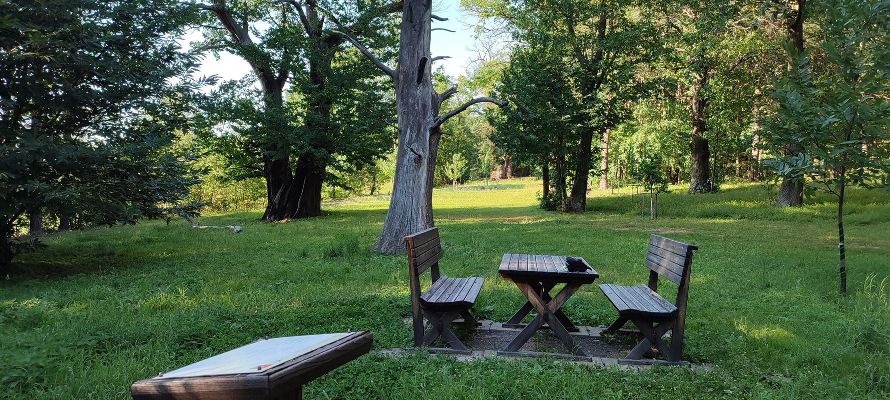 Straße ohne Straßennamen - Pázmány Péter körút 26, Szombathely