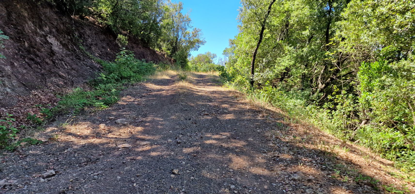 Moderate Route in