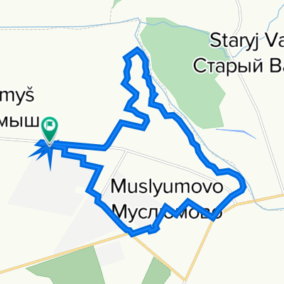 От улица Кооперативная 210, Муслюмово до улица Кооперативная 214, Муслюмово