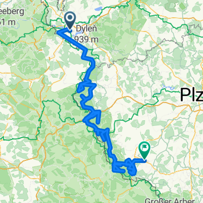 9811 Český les ( Řízek)