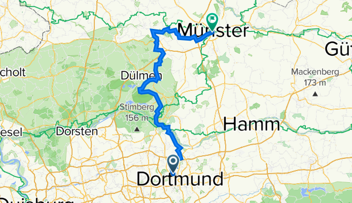 100k Muenster