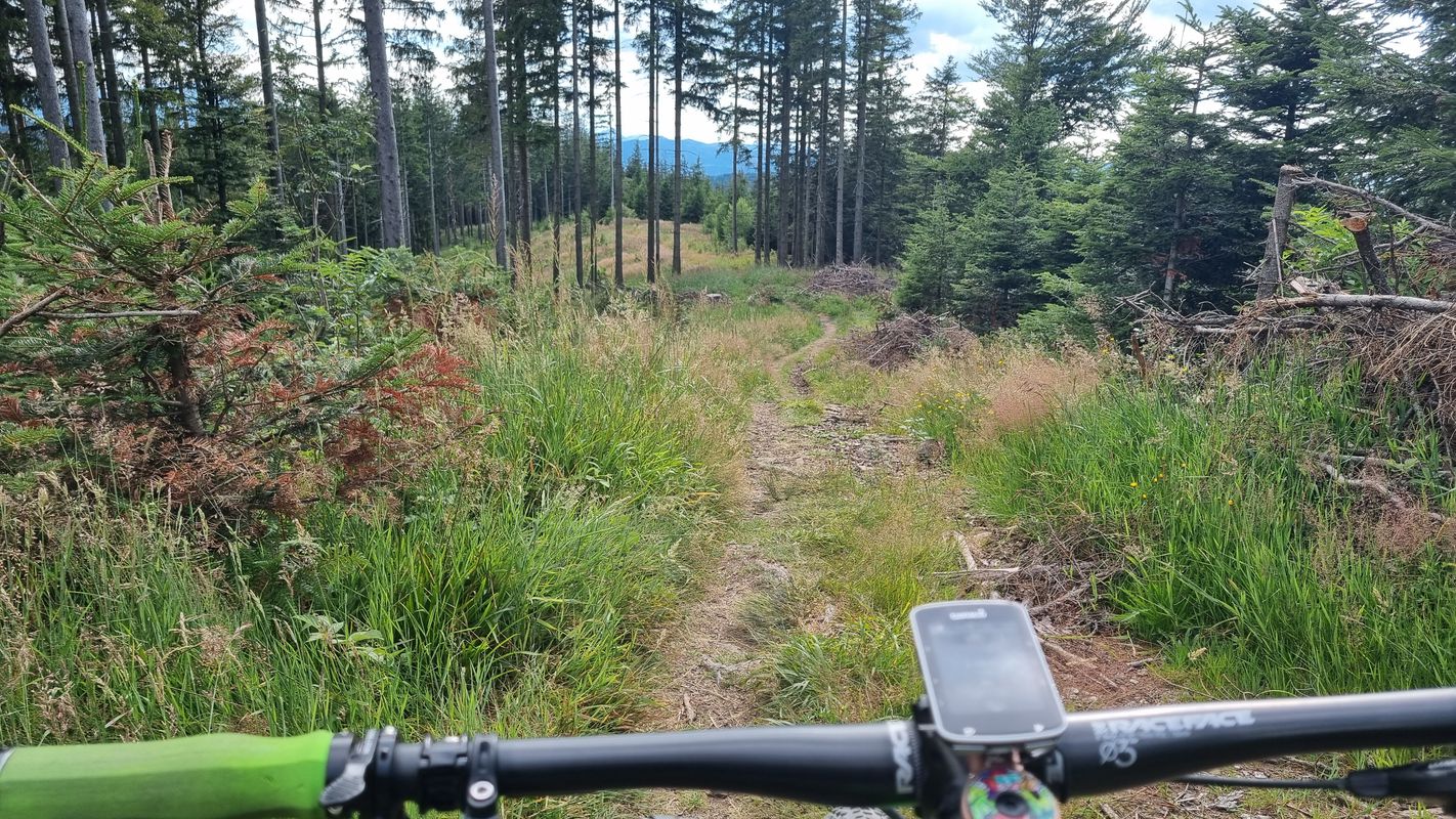 Frankenburg - Alpe Berg - Gahberg MTB Runde