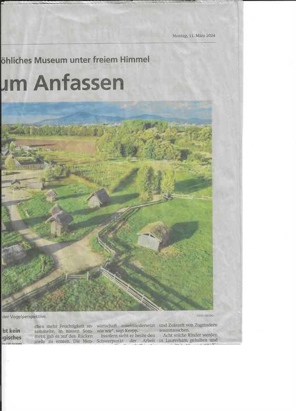 Pfungstädter Moor