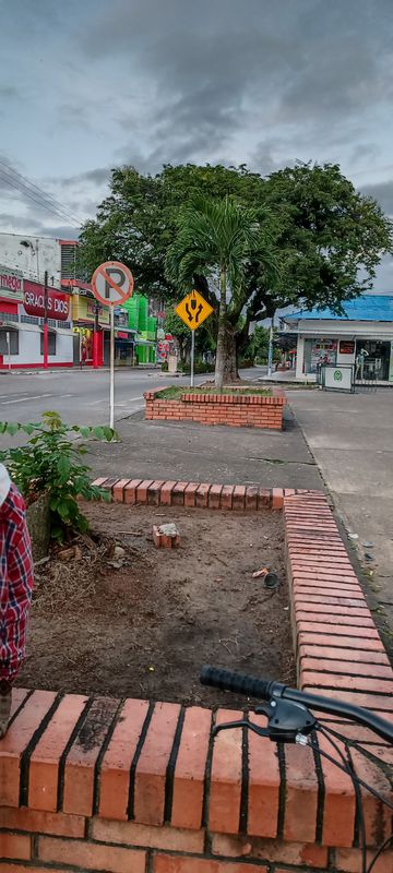 De Calle 14 4-17, Tame a Calle 14, Tame