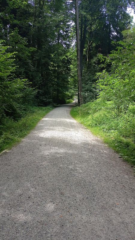 Betenwilerstrasse 11, Roggwil nach Betenwilerstrasse 11, Roggwil