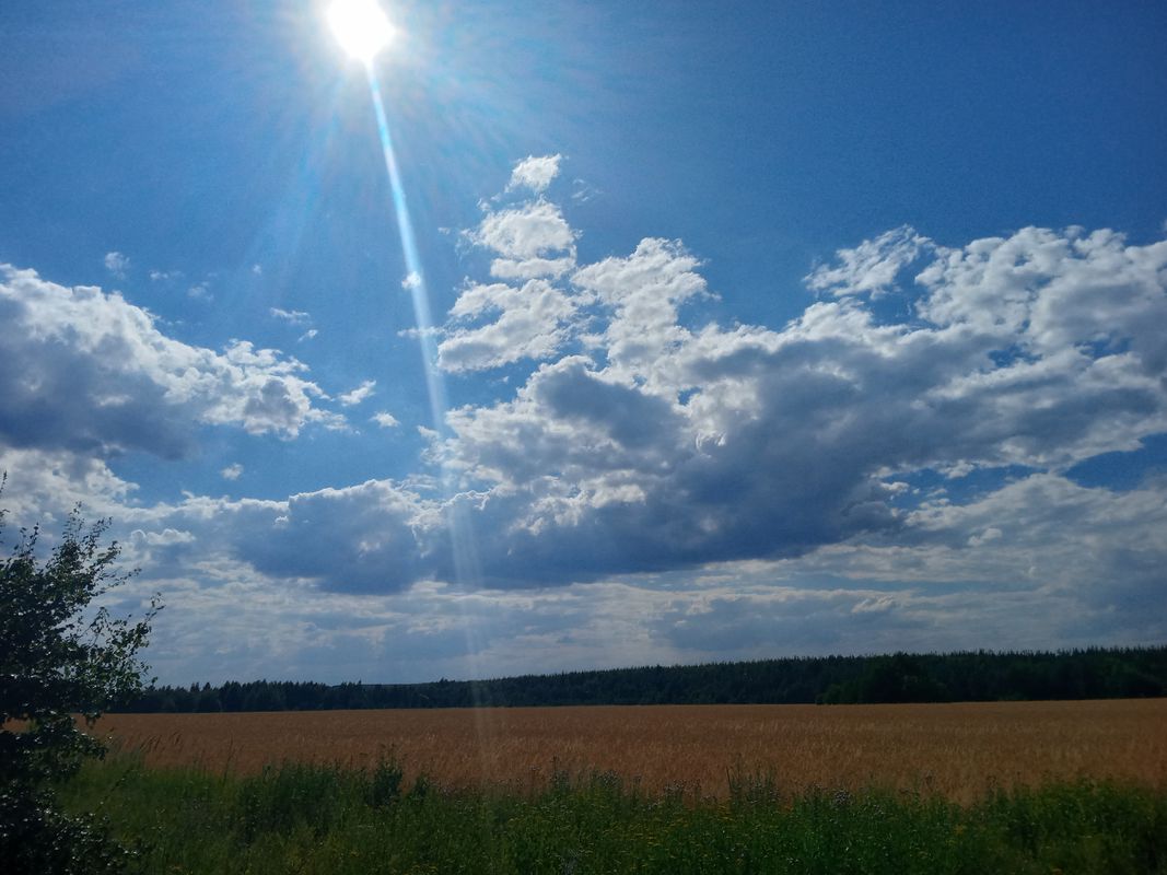 Пробный